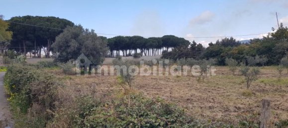  قطعة أرض في Gizzeria, Italy 3980متر مربع رقم 8940 3