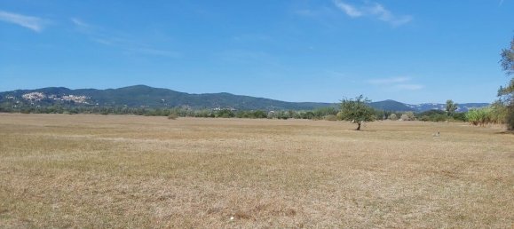 60000m² Hotel in Corfu, Greece No. 3491 6