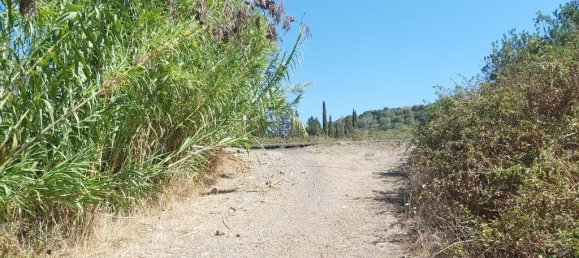 60000m² Hotel in Corfu, Greece No. 3491 14