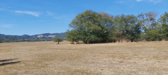 60000m² Hotel in Corfu, Greece No. 3491 10