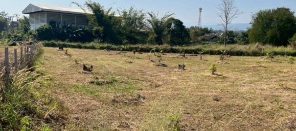 Terreno em Mae Rim, Thailand N.º 69912 6