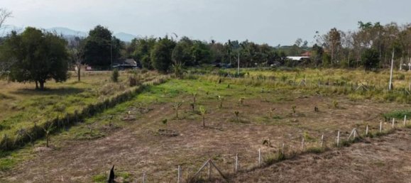 Terreno em Mae Rim, Thailand N.º 69912 7