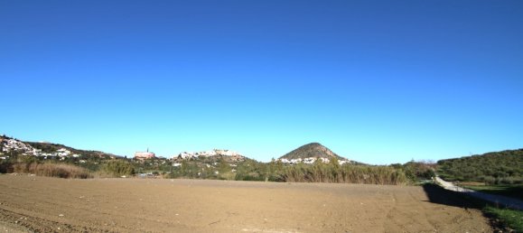 Terrain à Coin, Spain 2000m² No. 146491 6