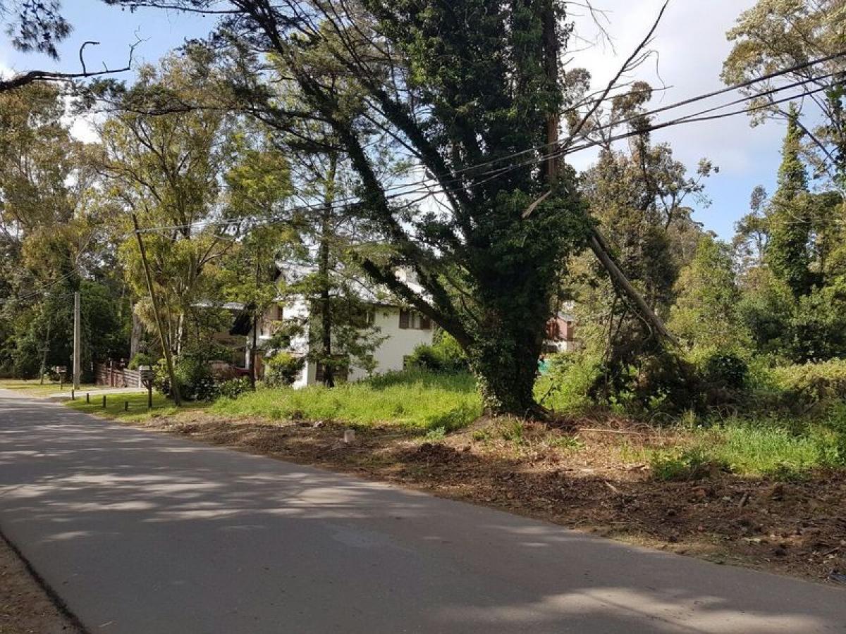  Land in Mar del Plata, Argentina No. 111549