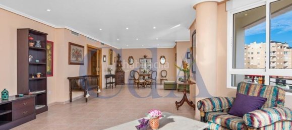 9 bedrooms Apartment in Torrevieja, Spain No. 43501 8