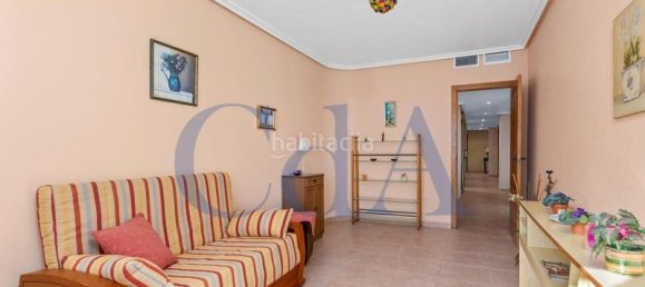 9 bedrooms Apartment in Torrevieja, Spain No. 43501 28