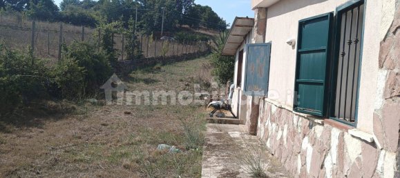 2 غرف نوم فيلا في Santa Cristina Gela, Italy رقم 190937 8