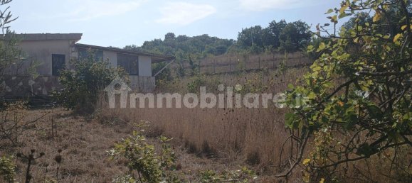 2 غرف نوم فيلا في Santa Cristina Gela, Italy رقم 190937 10