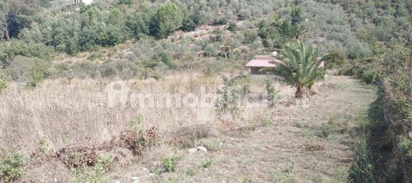 2 غرف نوم فيلا في Santa Cristina Gela, Italy رقم 190937 21