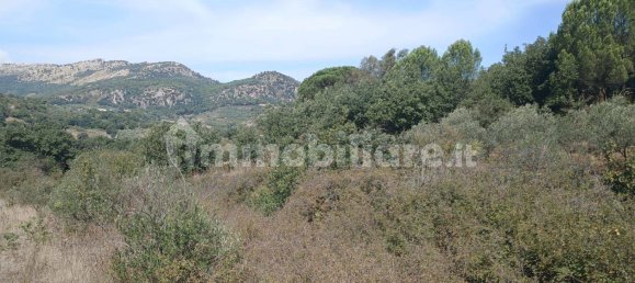 2 غرف نوم فيلا في Santa Cristina Gela, Italy رقم 190937 22