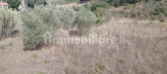 2 غرف نوم فيلا في Santa Cristina Gela, Italy رقم 190937 24