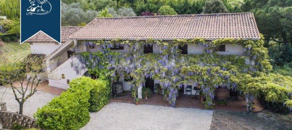100 bedrooms Villa in Castiglione del Lago, Italy No. 129620 4