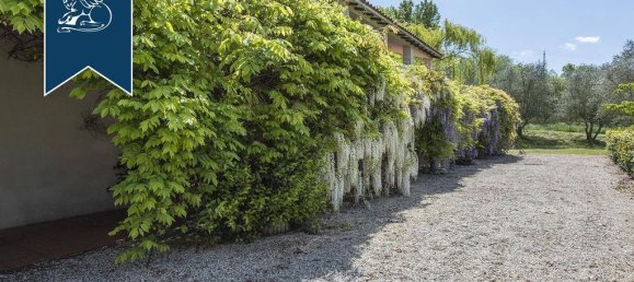 100 bedrooms Villa in Castiglione del Lago, Italy No. 129620 31