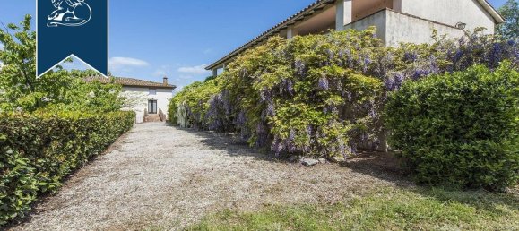 100 bedrooms Villa in Castiglione del Lago, Italy No. 129620 33