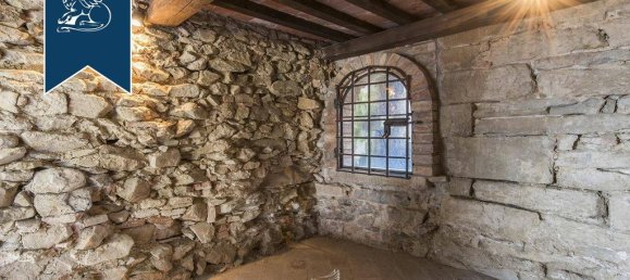 100 bedrooms Villa in Castiglione del Lago, Italy No. 129620 42