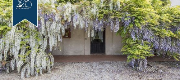 100 bedrooms Villa in Castiglione del Lago, Italy No. 129620 32