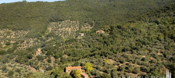 3 Schlafzimmer Haus in Cortona, Italy, Nr. 55566 7