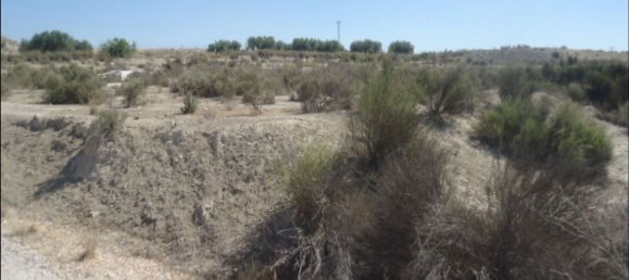  قطعة أرض في Fortuna, Spain 200000متر مربع رقم 164940 6