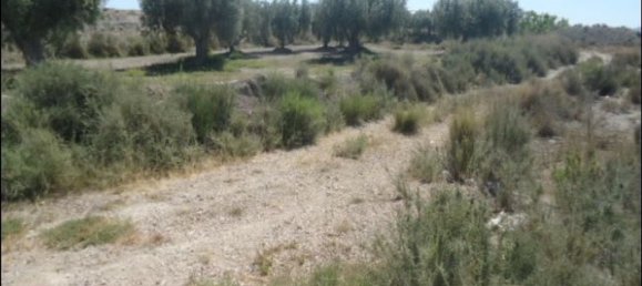  قطعة أرض في Fortuna, Spain 200000متر مربع رقم 164940 7