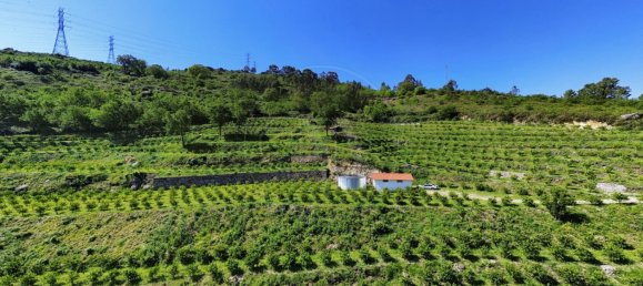 2 bedrooms House in Vieira do Minho, Portugal No. 32923 8