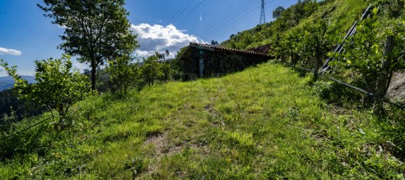 2 bedrooms House in Vieira do Minho, Portugal No. 32923 19