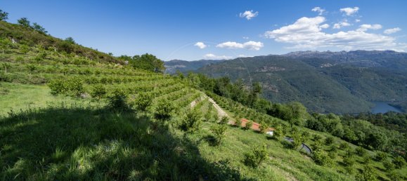 2 bedrooms House in Vieira do Minho, Portugal No. 32923 15