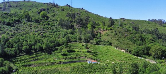 2 bedrooms House in Vieira do Minho, Portugal No. 32923 10