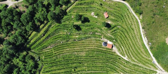 2 bedrooms House in Vieira do Minho, Portugal No. 32923 22