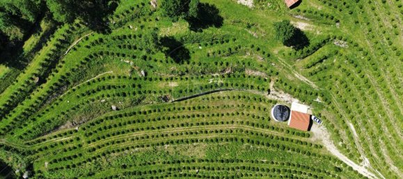 2 bedrooms House in Vieira do Minho, Portugal No. 32923 6