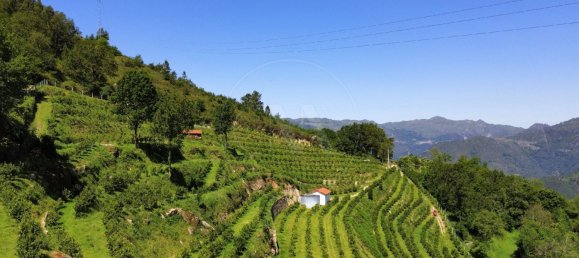 2 bedrooms House in Vieira do Minho, Portugal No. 32923 4