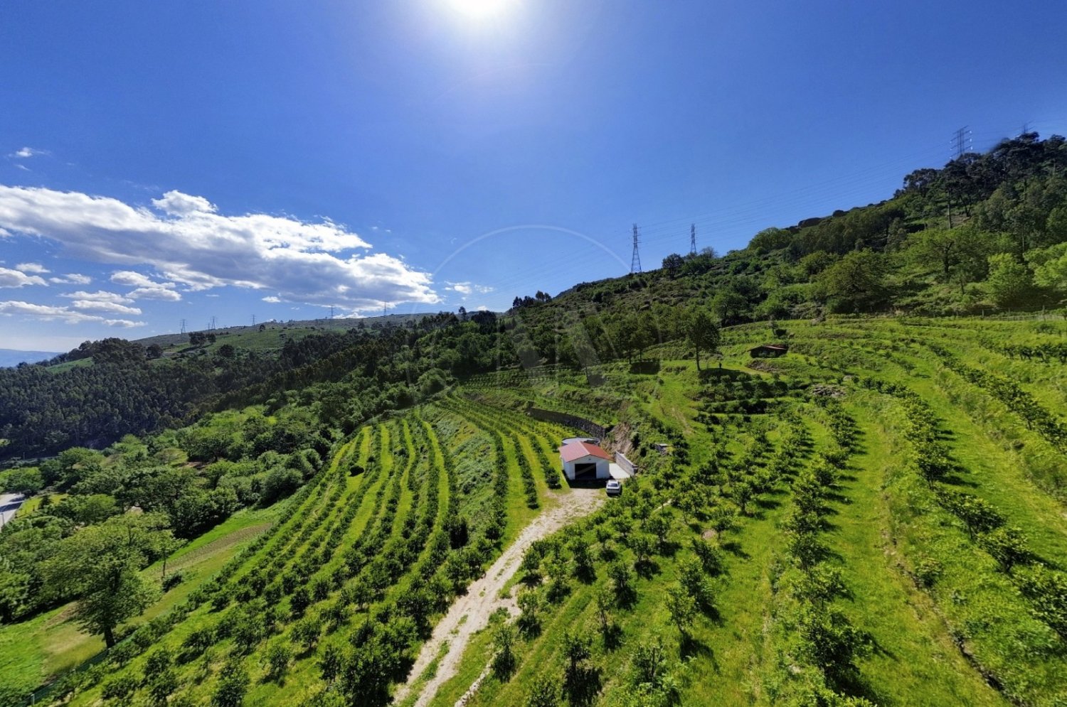 2 bedrooms House in Vieira do Minho, Portugal No. 32923