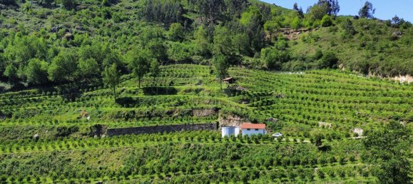 2 bedrooms House in Vieira do Minho, Portugal No. 32923 5