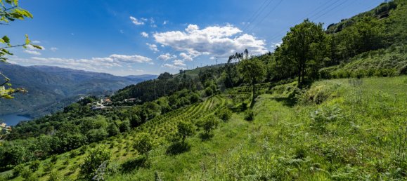 2 bedrooms House in Vieira do Minho, Portugal No. 32923 13