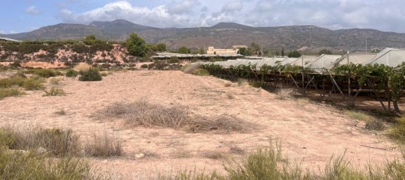 6124m² Land in Alhama de Murcia, Spain No. 159242 3