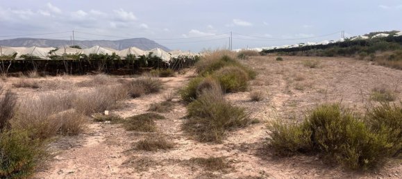 6124m² Land in Alhama de Murcia, Spain No. 159242 6