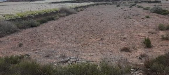 6124m² Land in Alhama de Murcia, Spain No. 159242 2