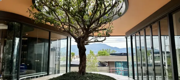 2 Schlafzimmer Wohnung in Phuket, Thailand, Nr. 79354 7