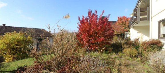 5 bedrooms Townhouse in Lorrach, Germany No. 247602 12