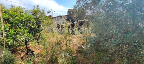 4 bedrooms House in Vidigueira, Portugal No. 62671 13