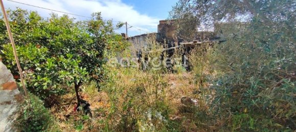 4 bedrooms House in Vidigueira, Portugal No. 62671 15