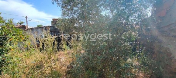 4 bedrooms House in Vidigueira, Portugal No. 62671 10