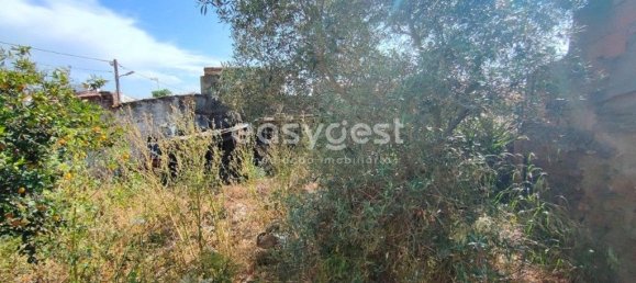 4 bedrooms House in Vidigueira, Portugal No. 62671 11