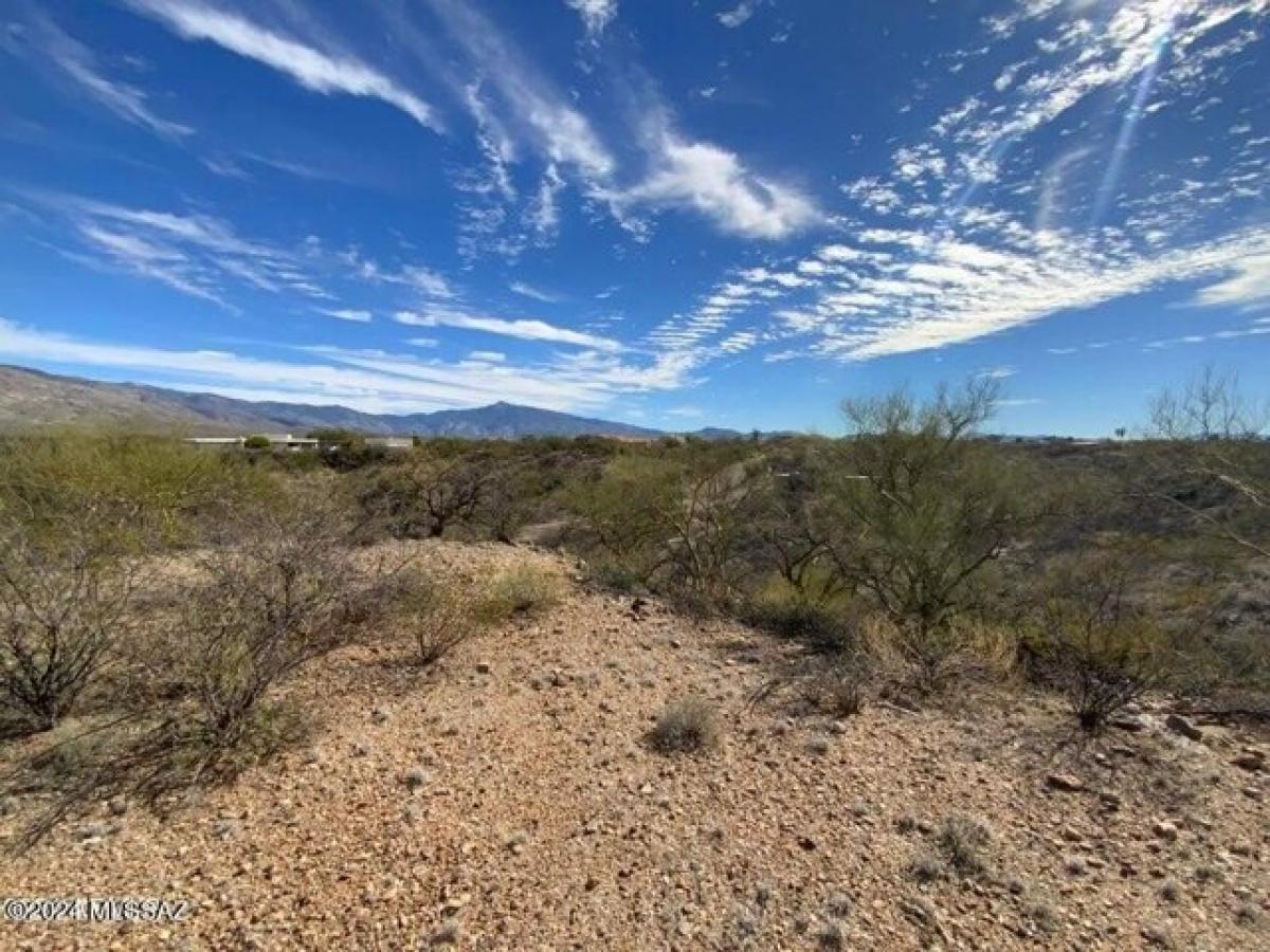  Land in Tucson, USA No. 489150