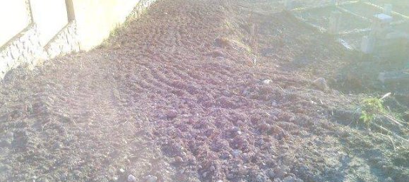 Grundstück in Benalmadena, Spain, Nr. 168229 22