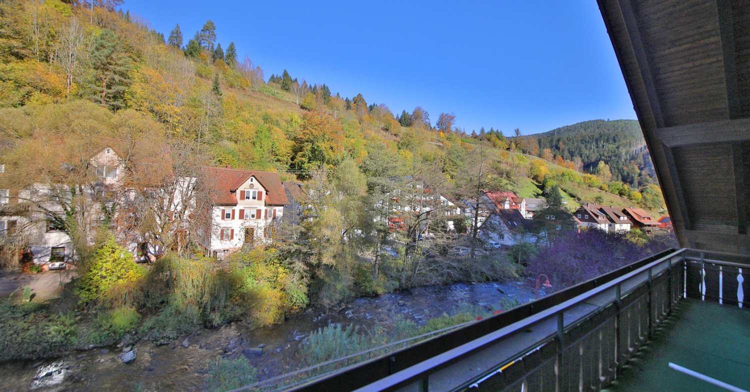 10 bedrooms Building in Baden-Wurttemberg, Germany No. 116625