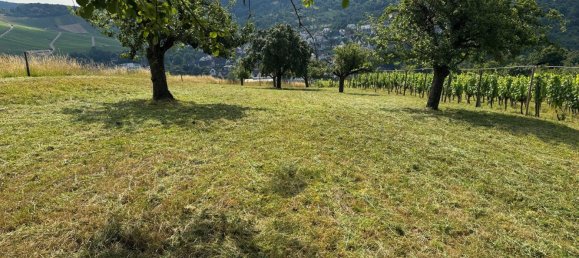  قطعة أرض في Esslingen, Germany رقم 243830 2