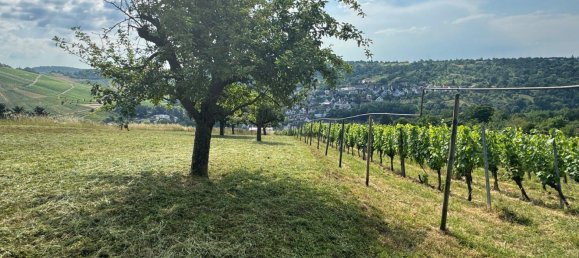  قطعة أرض في Esslingen, Germany رقم 243830 8