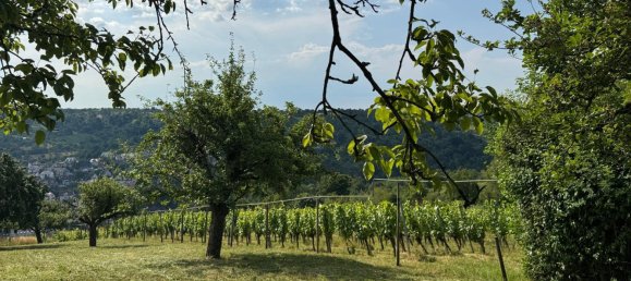  قطعة أرض في Esslingen, Germany رقم 243830 3