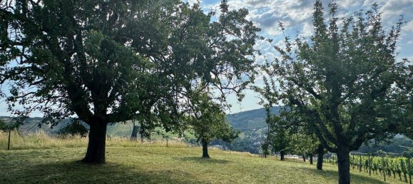  قطعة أرض في Esslingen, Germany رقم 243830 9