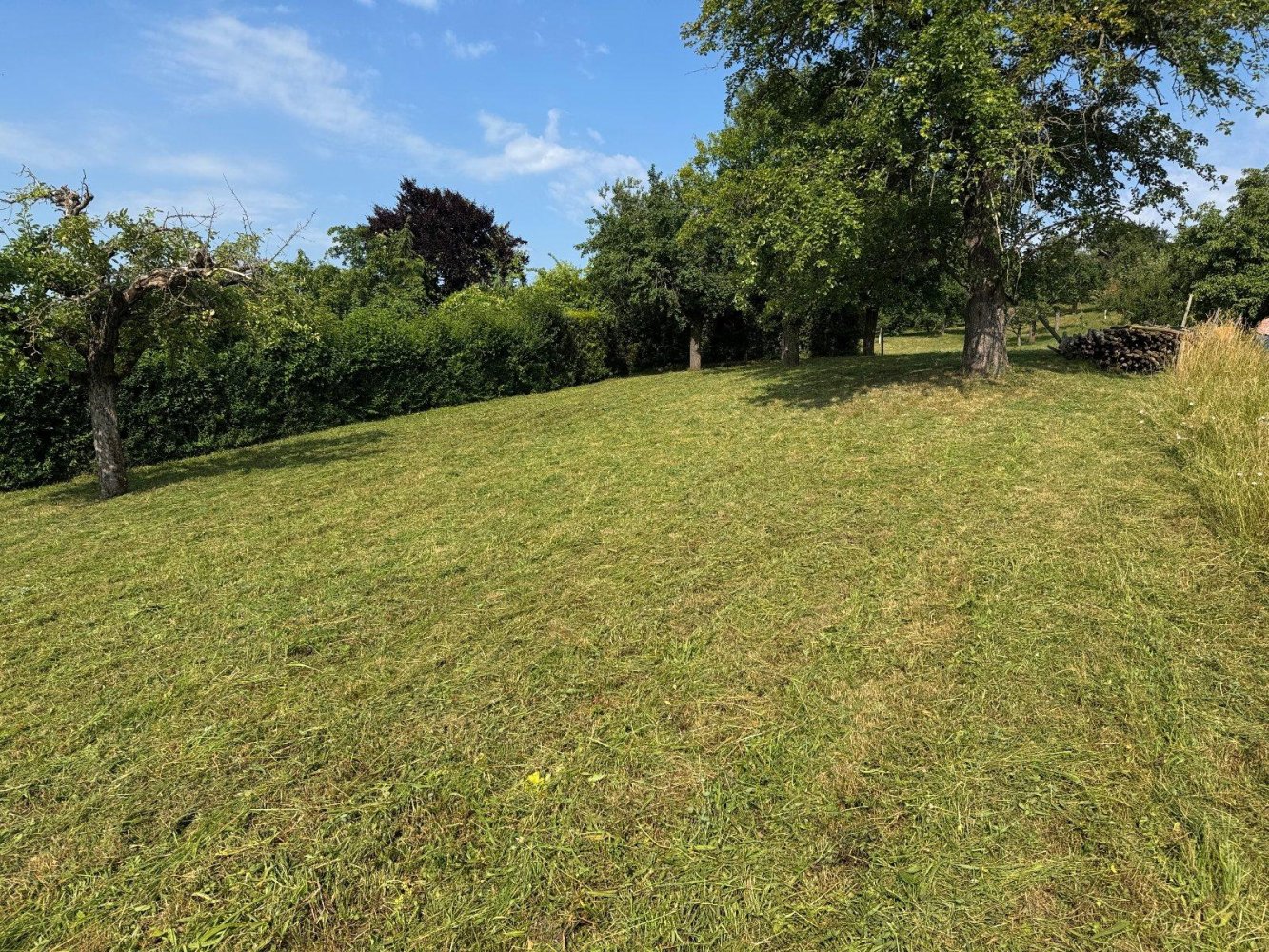  قطعة أرض في Esslingen, Germany رقم 243830